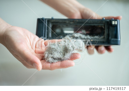 Cat's owner holding a dust filter after vacuum and cleaning house. A purpose of this filter is to collect the dust that passes through the suction nozzle from the carpet or floor. 117419317