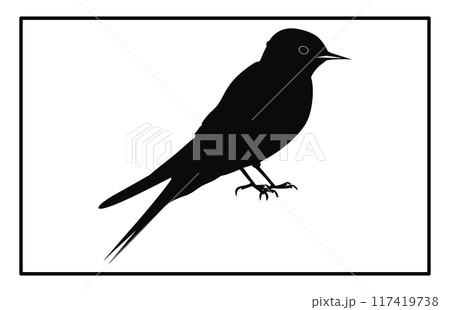 A flock of flying birds, swallow Flying Silhouettes, group of birds in the sky 117419738