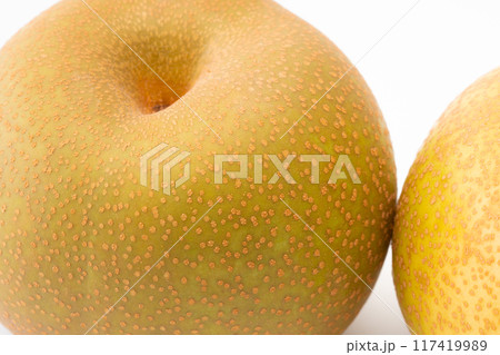 梨(幸水)のクローズアップ 梨(幸水)のクローズアップ 117419989