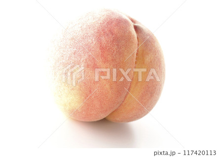 桃を白背景で撮影 桃を白背景で撮影 117420113