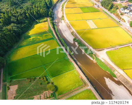 黄金色に輝く農村での空撮 黄金色に輝く農村での空撮 117420174