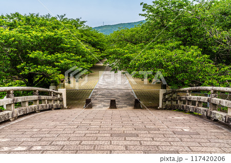 新緑の橘神社　【長崎県雲仙市】 117420206