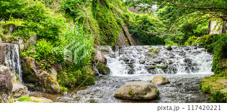 新緑の橘神社　パノラマ　【長崎県雲仙市】 117420221