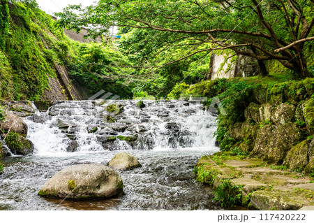 新緑の橘神社　【長崎県雲仙市】 117420222