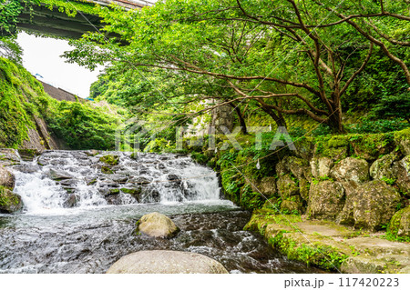 新緑の橘神社　【長崎県雲仙市】 117420223