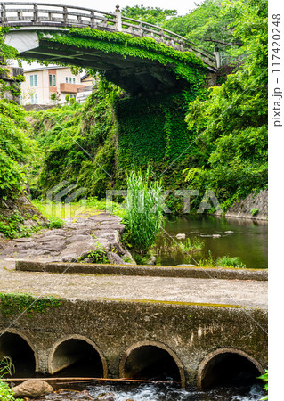 新緑の橘神社 【長崎県雲仙市】 新緑の橘神社 【長崎県雲仙市】 117420248