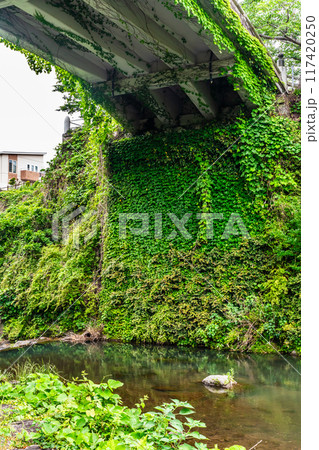新緑の橘神社　【長崎県雲仙市】 117420250