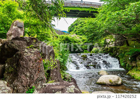 新緑の橘神社　【長崎県雲仙市】 117420252