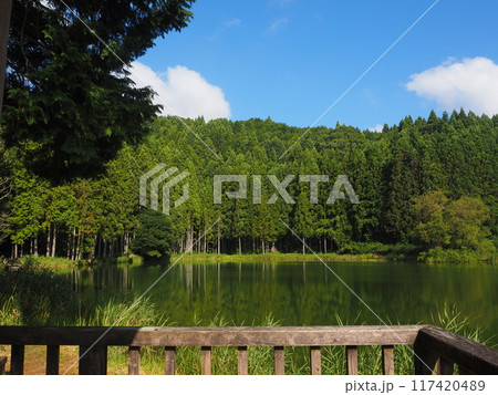 夏の龍王ケ渕 117420489