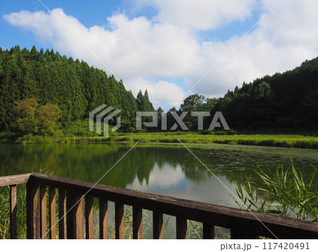 夏の龍王ケ渕 夏の龍王ケ渕 117420491