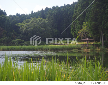 夏の龍王ケ渕 夏の龍王ケ渕 117420504