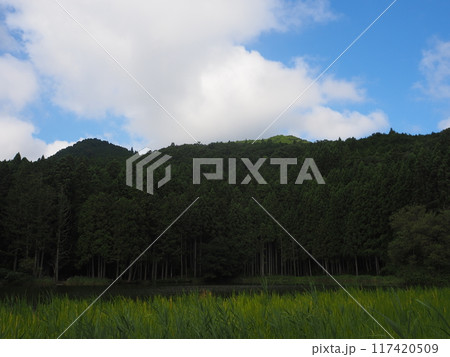 夏の龍王ケ渕 117420509