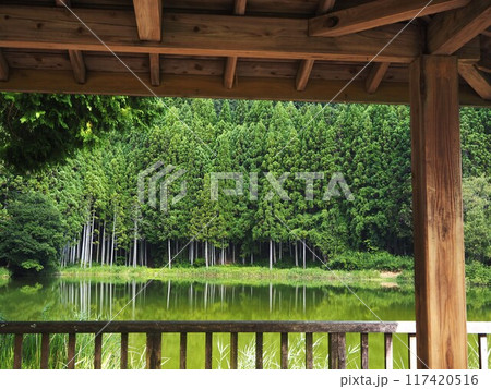 夏の龍王ケ渕 117420516