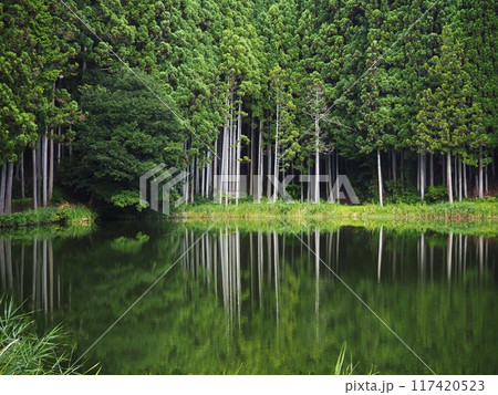 夏の龍王ケ渕 117420523