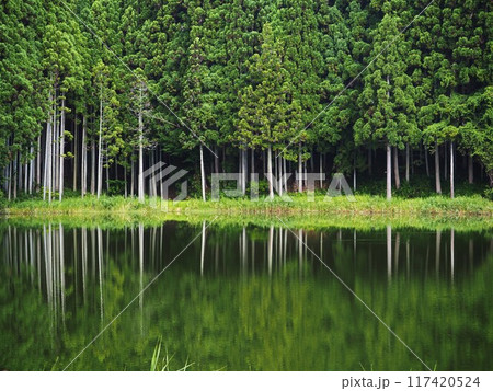 夏の龍王ケ渕 117420524