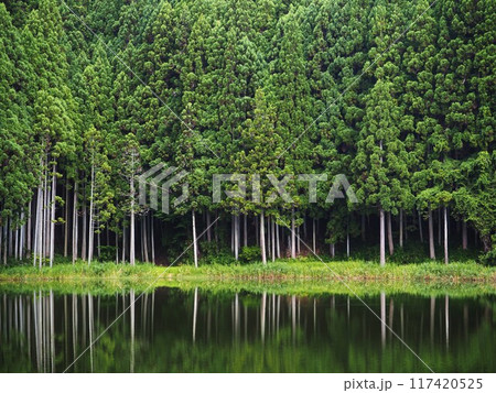 夏の龍王ケ渕 117420525