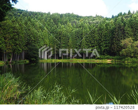 夏の龍王ケ渕 117420528