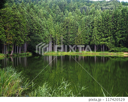 夏の龍王ケ渕 117420529