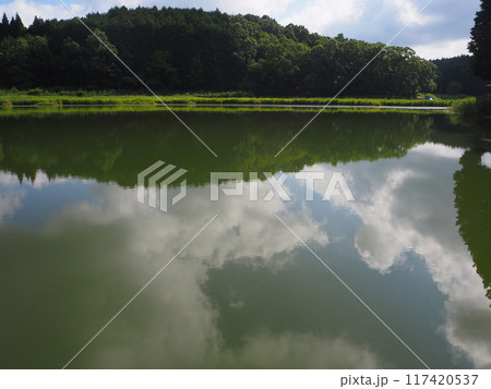 夏の龍王ケ渕 117420537