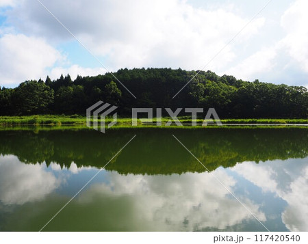 夏の龍王ケ渕 117420540