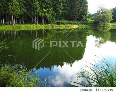 夏の龍王ケ渕 117420549