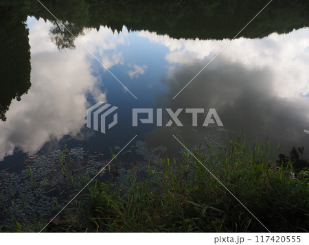 夏の龍王ケ渕 117420555