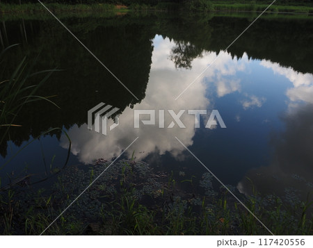 夏の龍王ケ渕 117420556