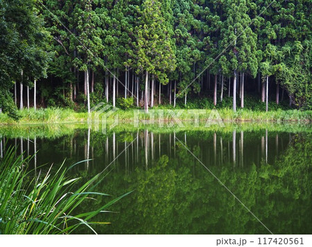 夏の龍王ケ渕 117420561