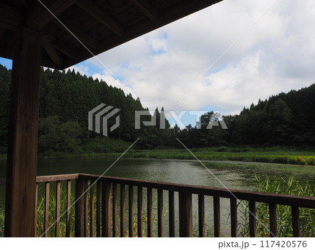 夏の龍王ケ渕 117420576