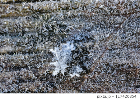 光る手すりと雪の結晶 117420854