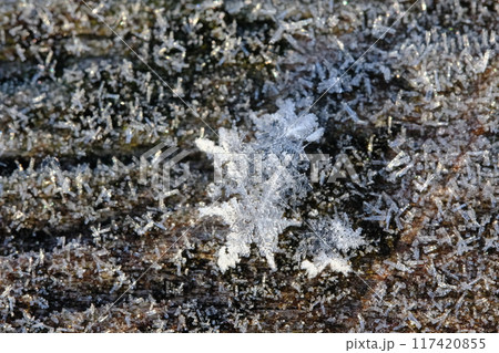 光る手すりと雪の結晶 光る手すりと雪の結晶 117420855