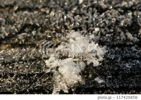 光る手すりと雪の結晶 117420856