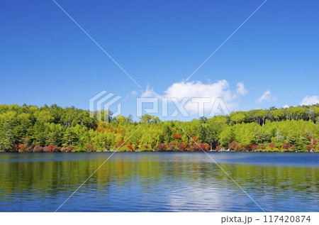 北八ヶ岳・白駒池の紅葉 117420874