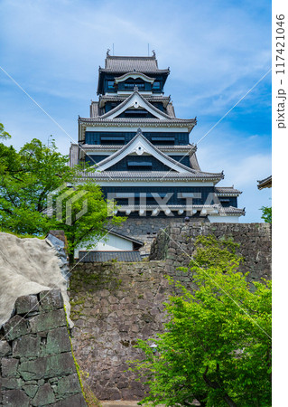 熊本市　熊本城　復元天守閣 117421046