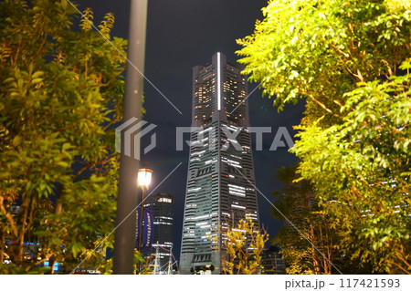 都会の夜の風景 117421593