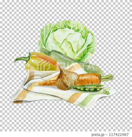 Vegetables. Cabbage, zucchini, peppers, onions, carrots, peas. Watercolor illustration isolated. Harvest and Vegetarian Day cards, labels, packaging. 117422067