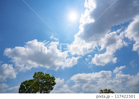 夏の雲と木立と太陽 夏の雲と木立と太陽 117422301