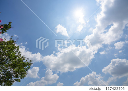 夏の雲と木立と太陽 夏の雲と木立と太陽 117422303