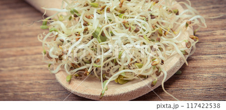 Alfalfa and radish sprouts on wooden spoon as healthy addition to sandwiches Alfalfa and radish sprouts on wooden spoon as healthy addition to sandwiches 117422538