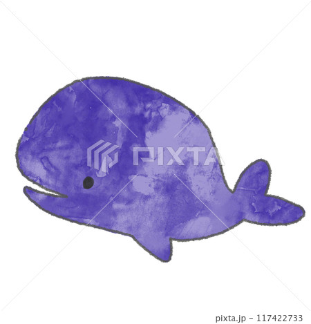 海の生き物イラスト(クラゲ)枠あり 117422733
