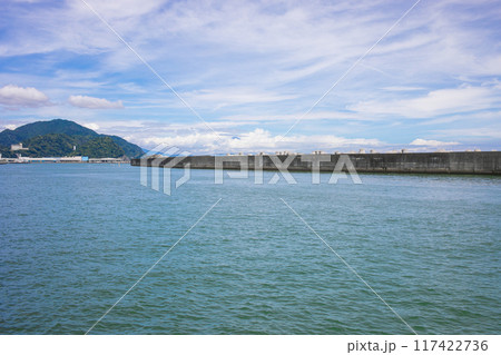 静岡県焼津市にある自然豊かな公園の前にある海 ふぃしゅーな 静岡県焼津市にある自然豊かな公園の前にある海 ふぃしゅーな 117422736