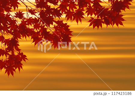 暖かな秋のひととき、水面のグラデーションと紅葉の風景 117423186