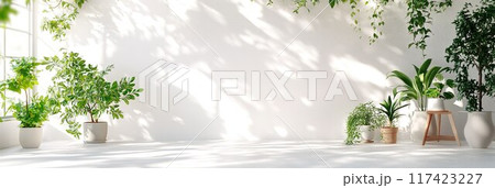 3:1 白壁と観葉植物の部屋01 117423227