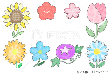 【手描き】お花のイラストセット(枠あり) 【手描き】お花のイラストセット(枠あり) 117423327