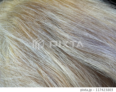 失敗したブリーチ毛 失敗したブリーチ毛 117423803