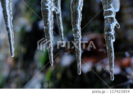 るり渓の氷柱の雫と気泡 るり渓の氷柱の雫と気泡 117423854