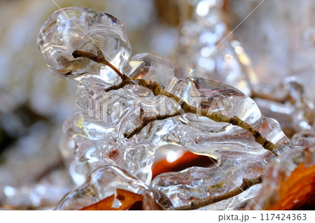 るり渓の小枝についた氷柱 117424363