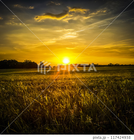 Beautiful summer landscape Beautiful summer landscape 117424938