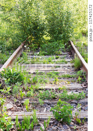 An abandoned railway at a deadlock An abandoned railway at a deadlock 117425172