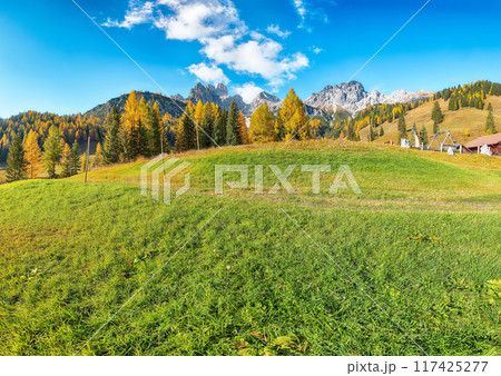 Stunning view of mountains and valleys with larch forest and wonderful sky are located in Filzmoos 117425277